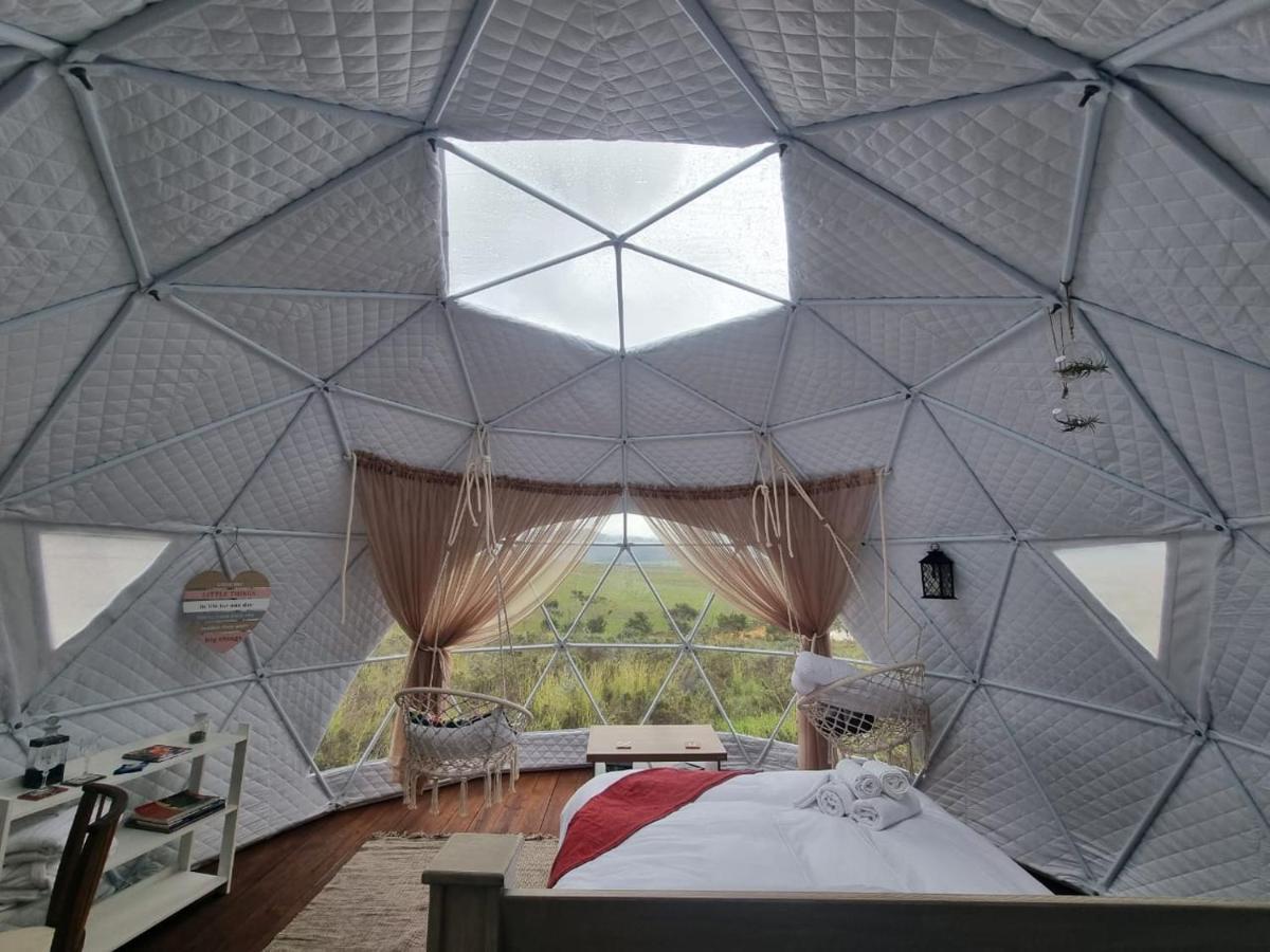 Pom Gratz - Ecodomes Hotel Hartebeest Rivier Exterior foto
