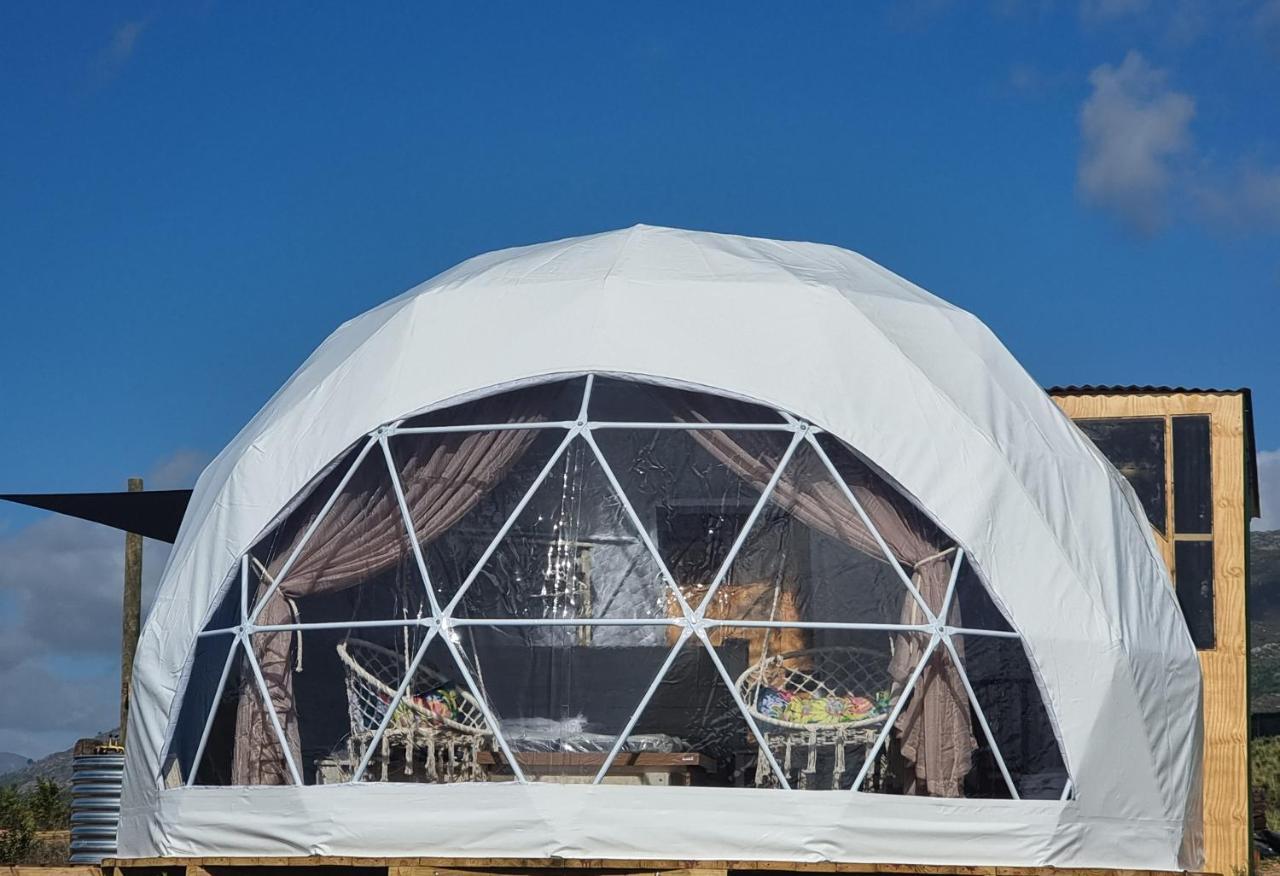 Pom Gratz - Ecodomes Hotel Hartebeest Rivier Exterior foto