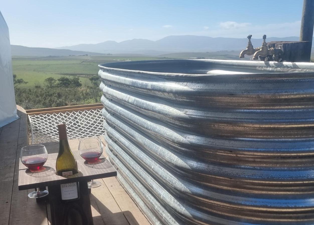 Pom Gratz - Ecodomes Hotel Hartebeest Rivier Exterior foto