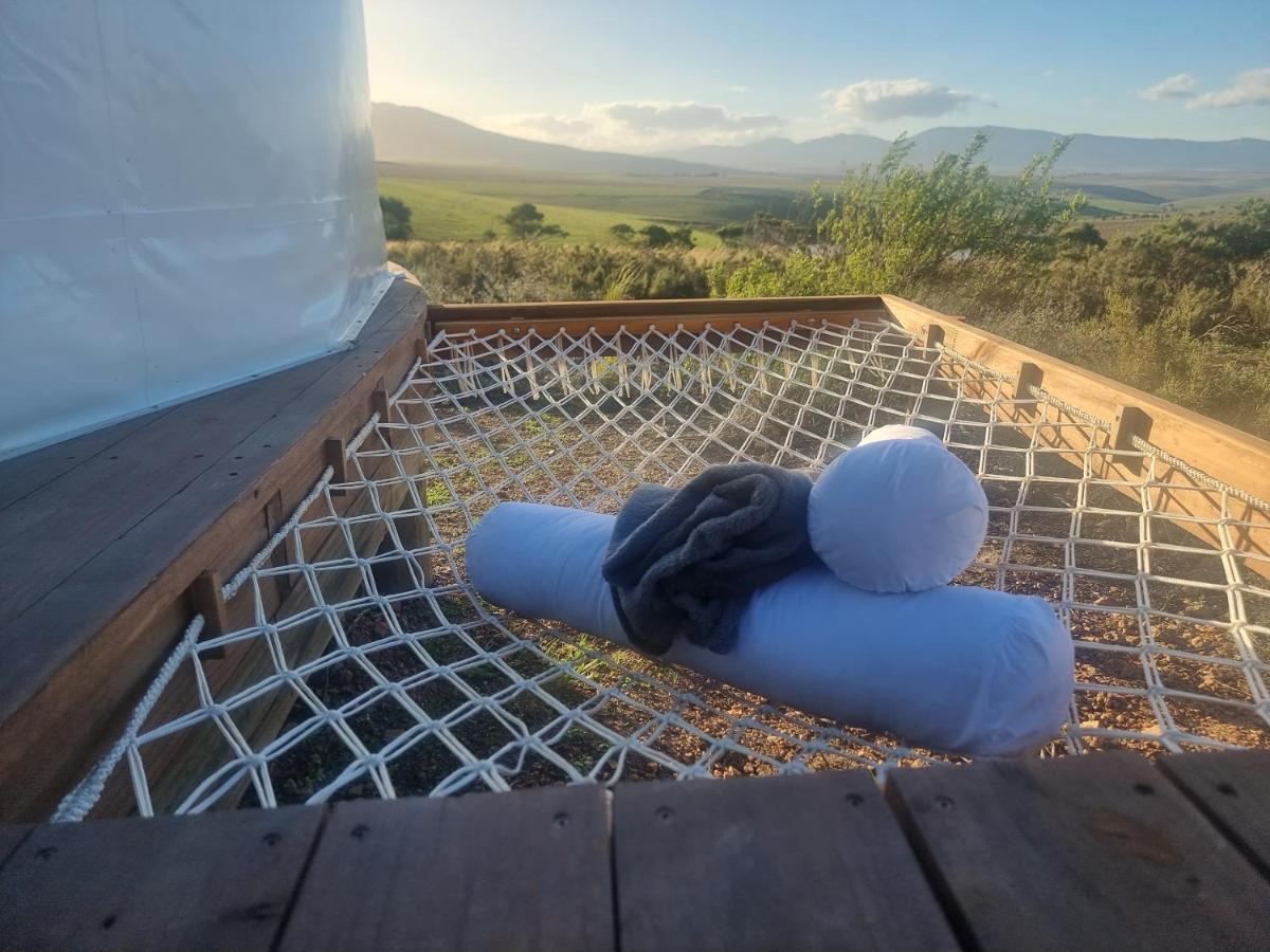 Pom Gratz - Ecodomes Hotel Hartebeest Rivier Exterior foto