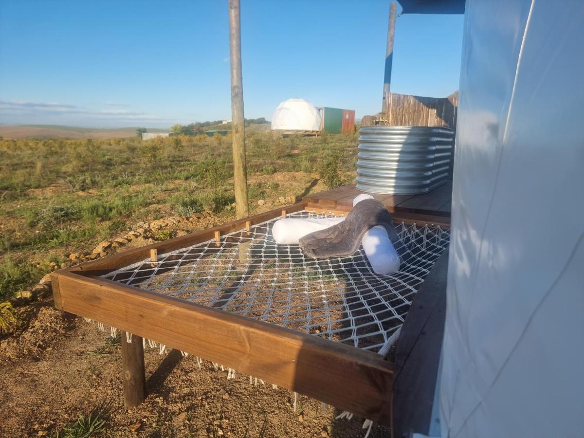 Pom Gratz - Ecodomes Hotel Hartebeest Rivier Exterior foto