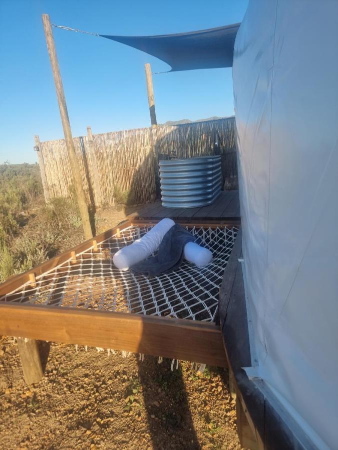 Pom Gratz - Ecodomes Hotel Hartebeest Rivier Exterior foto