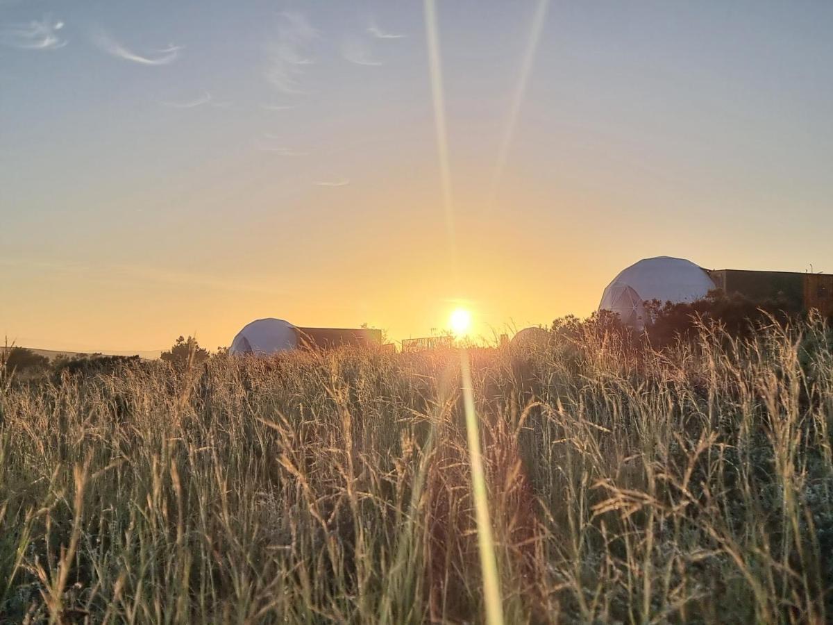 Pom Gratz - Ecodomes Hotel Hartebeest Rivier Exterior foto