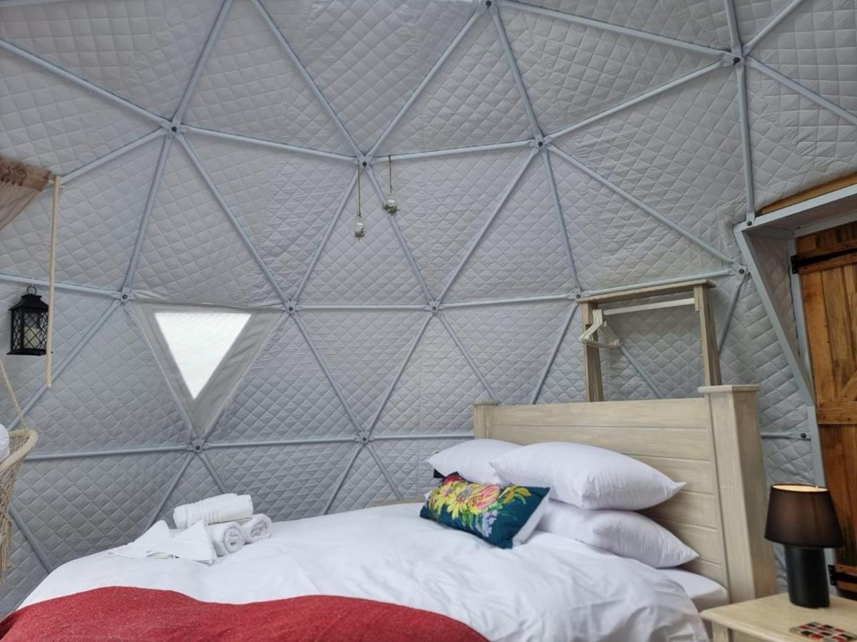 Pom Gratz - Ecodomes Hotel Hartebeest Rivier Exterior foto
