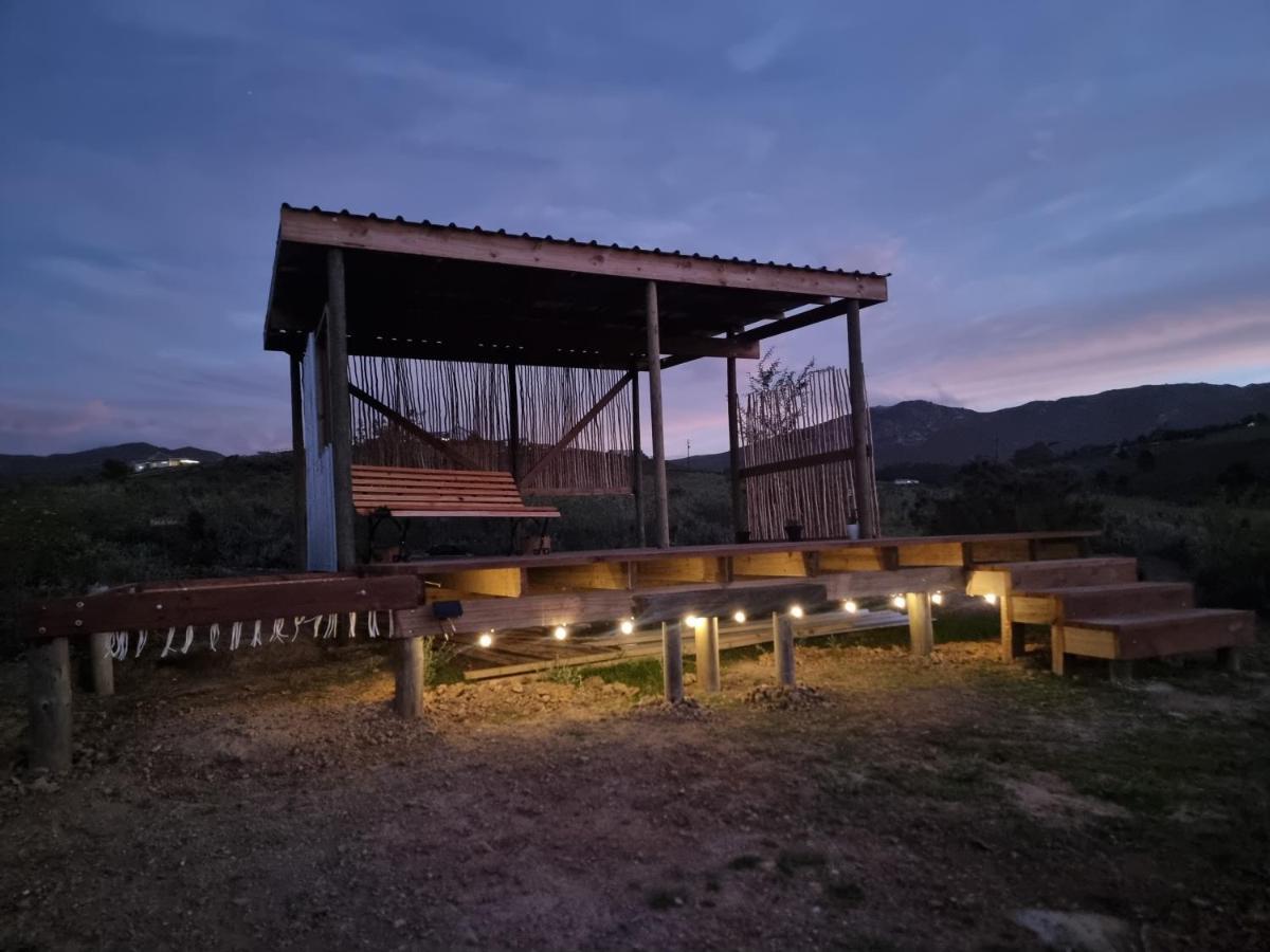 Pom Gratz - Ecodomes Hotel Hartebeest Rivier Exterior foto