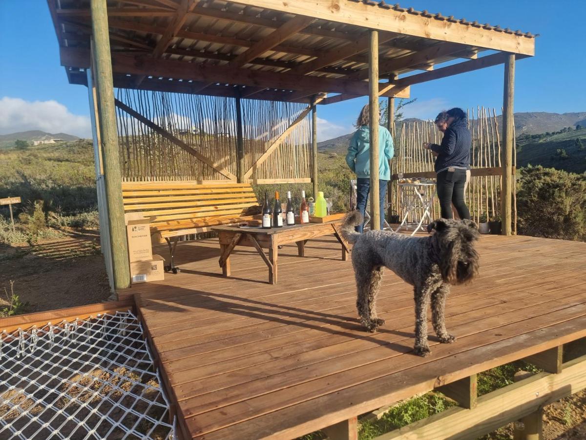 Pom Gratz - Ecodomes Hotel Hartebeest Rivier Exterior foto
