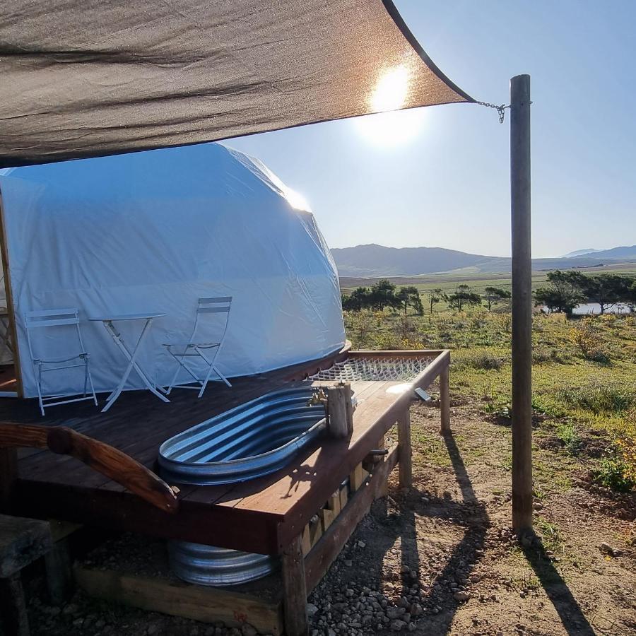 Pom Gratz - Ecodomes Hotel Hartebeest Rivier Exterior foto