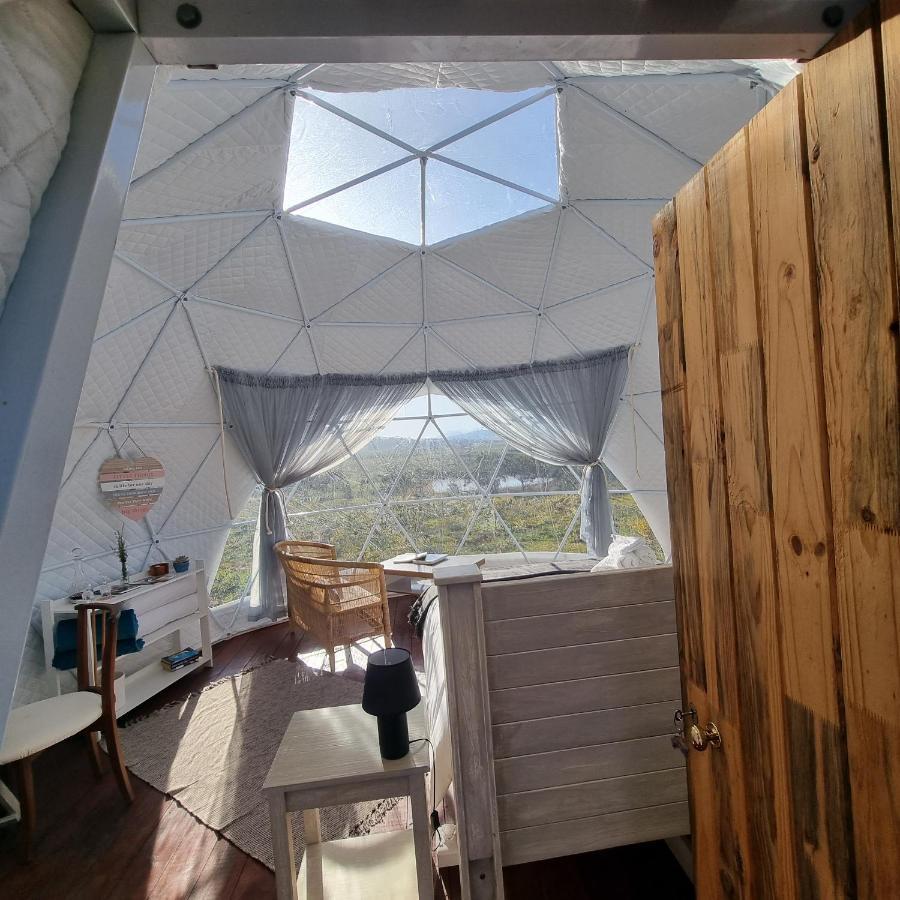 Pom Gratz - Ecodomes Hotel Hartebeest Rivier Exterior foto